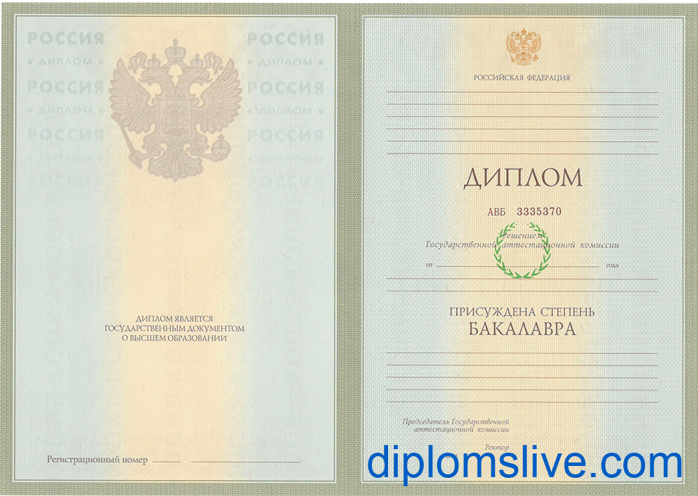 Диплом бакалавра 2004-2009 год фото