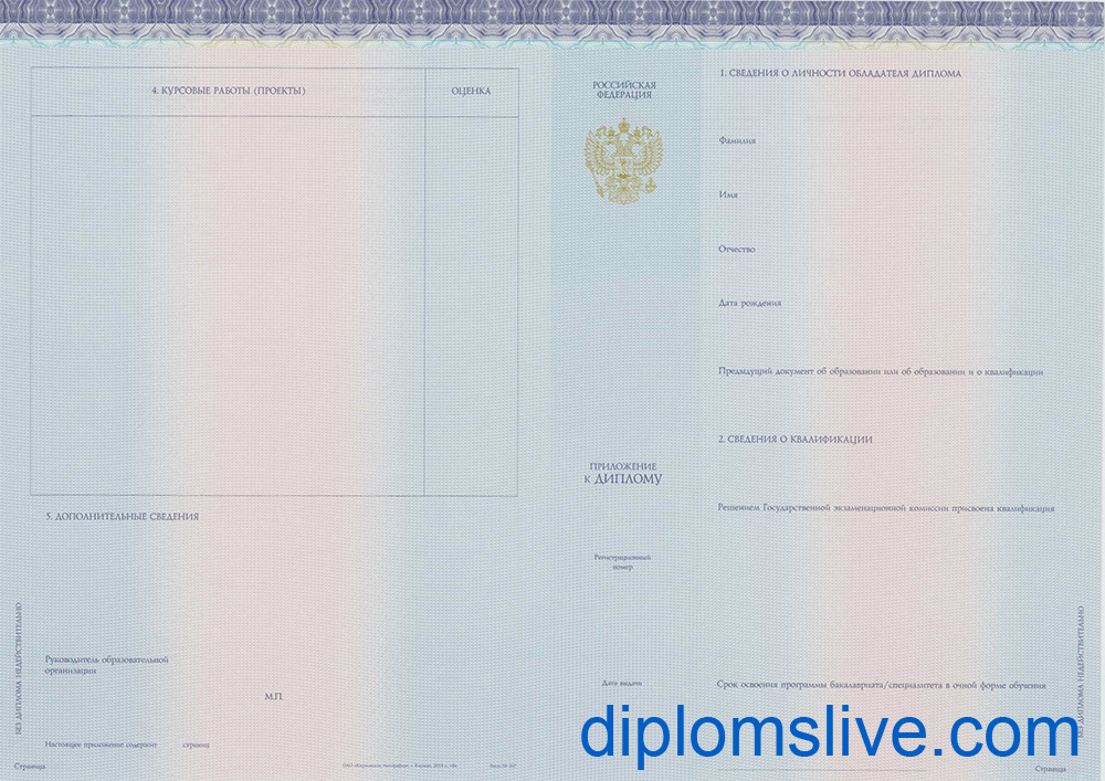 Диплом бакалавра 2014-2019 год фото Киржач