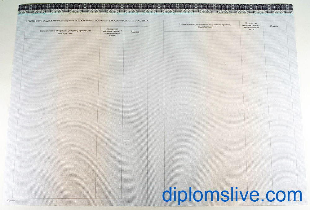 Диплом бакалавра 2014-2019 год фото Киржач