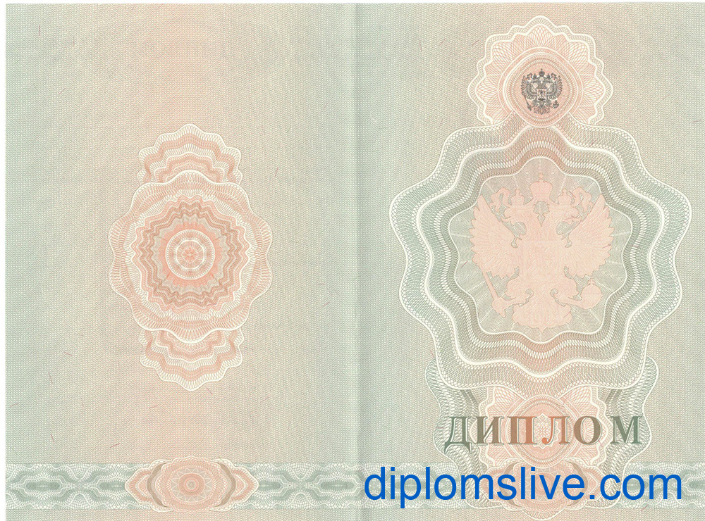 Диплом училища 2007-2009 год фото