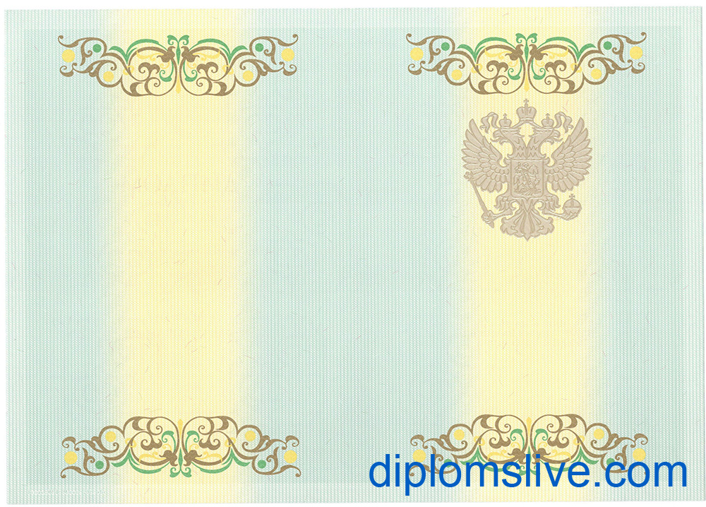 Диплом специалиста 2011-2013 год фото